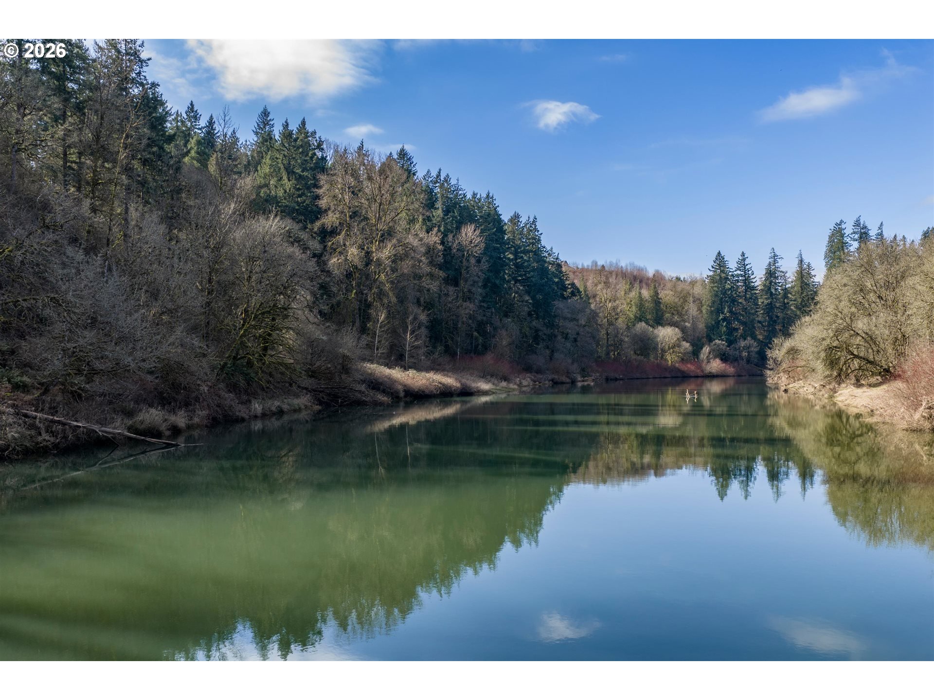 33500 Northwest Norstar Ranch Road Ridgefield, WA 98642 - Photo 43 of 46