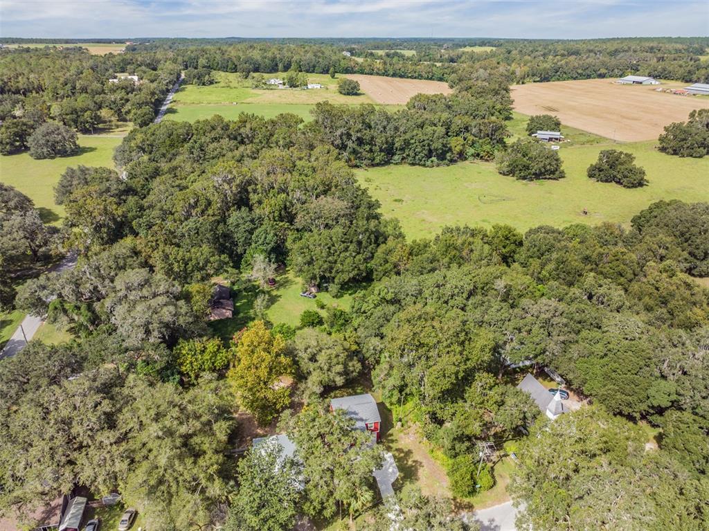 17415 Sweetwater Road Dade City, FL 33523 - Photo 53 of 72