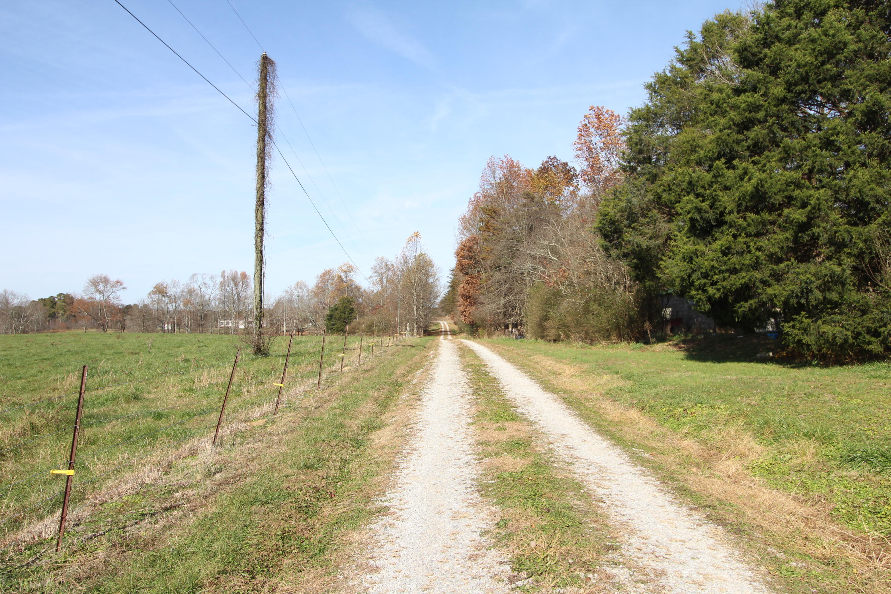 1716 Walkertown Road Dayton, TN 37321 - Photo 43 of 55 IMG_4153