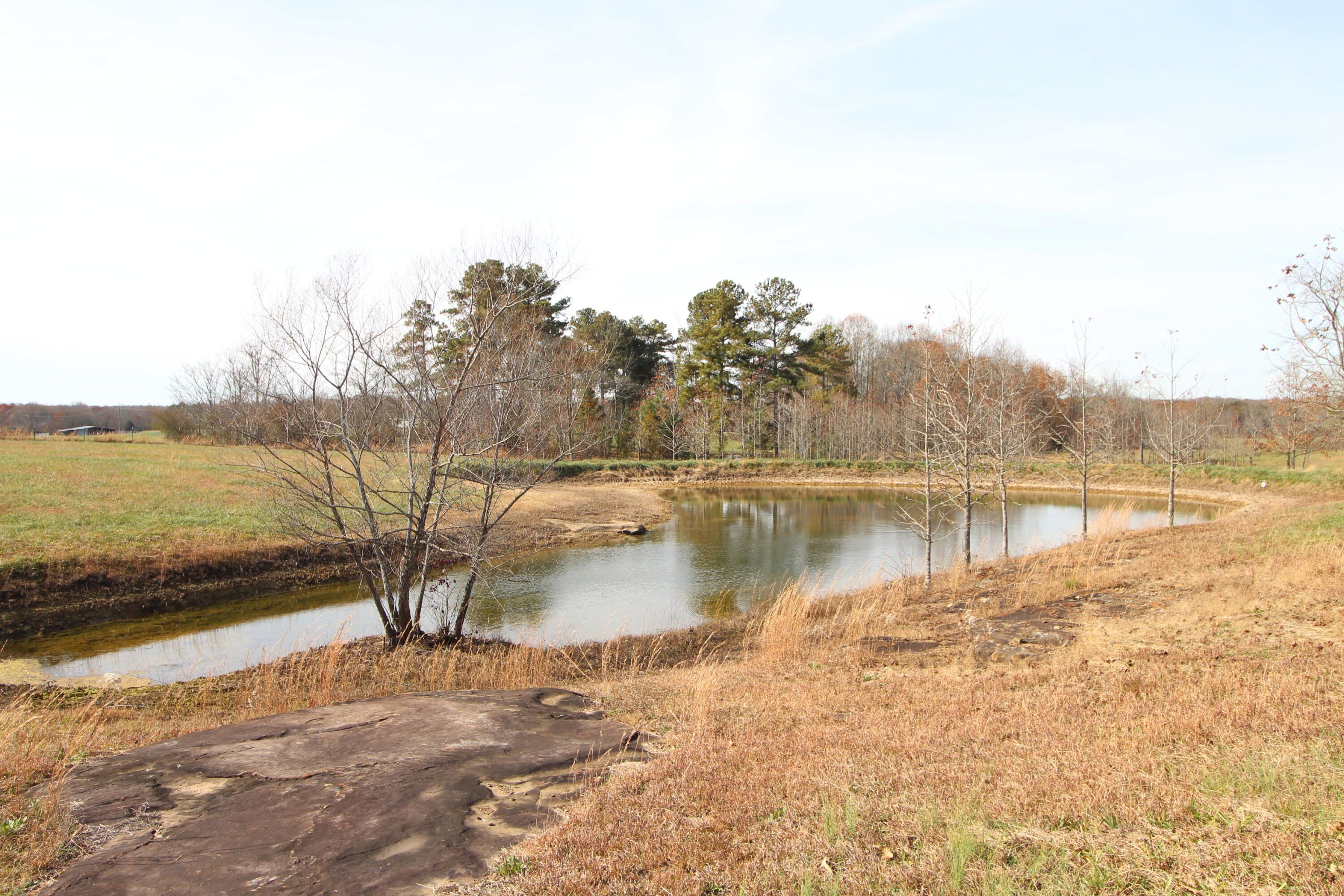 1716 Walkertown Road Dayton, TN 37321 - Photo 44 of 55 IMG_4259