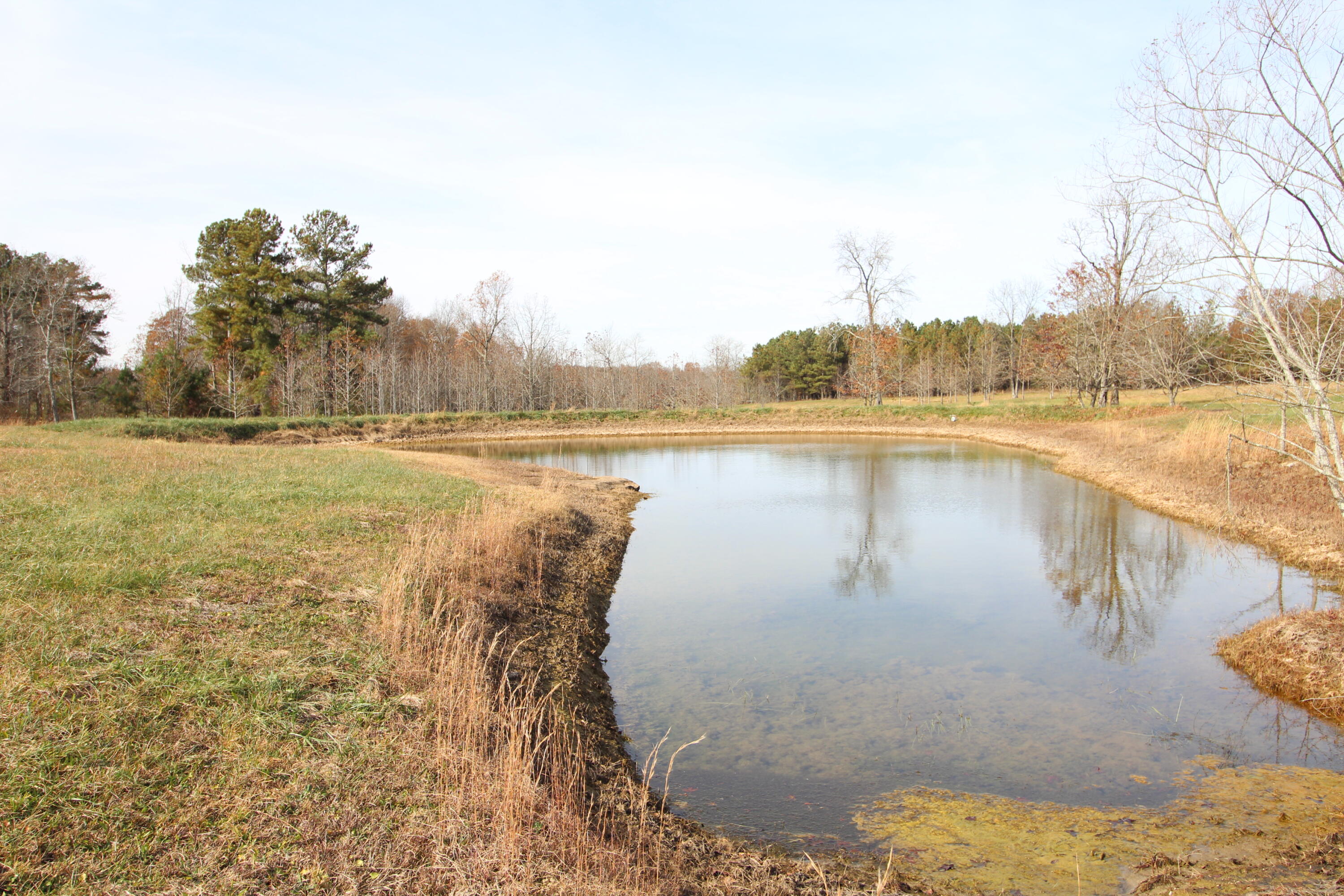 1716 Walkertown Road Dayton, TN 37321 - Photo 45 of 55 IMG_4261