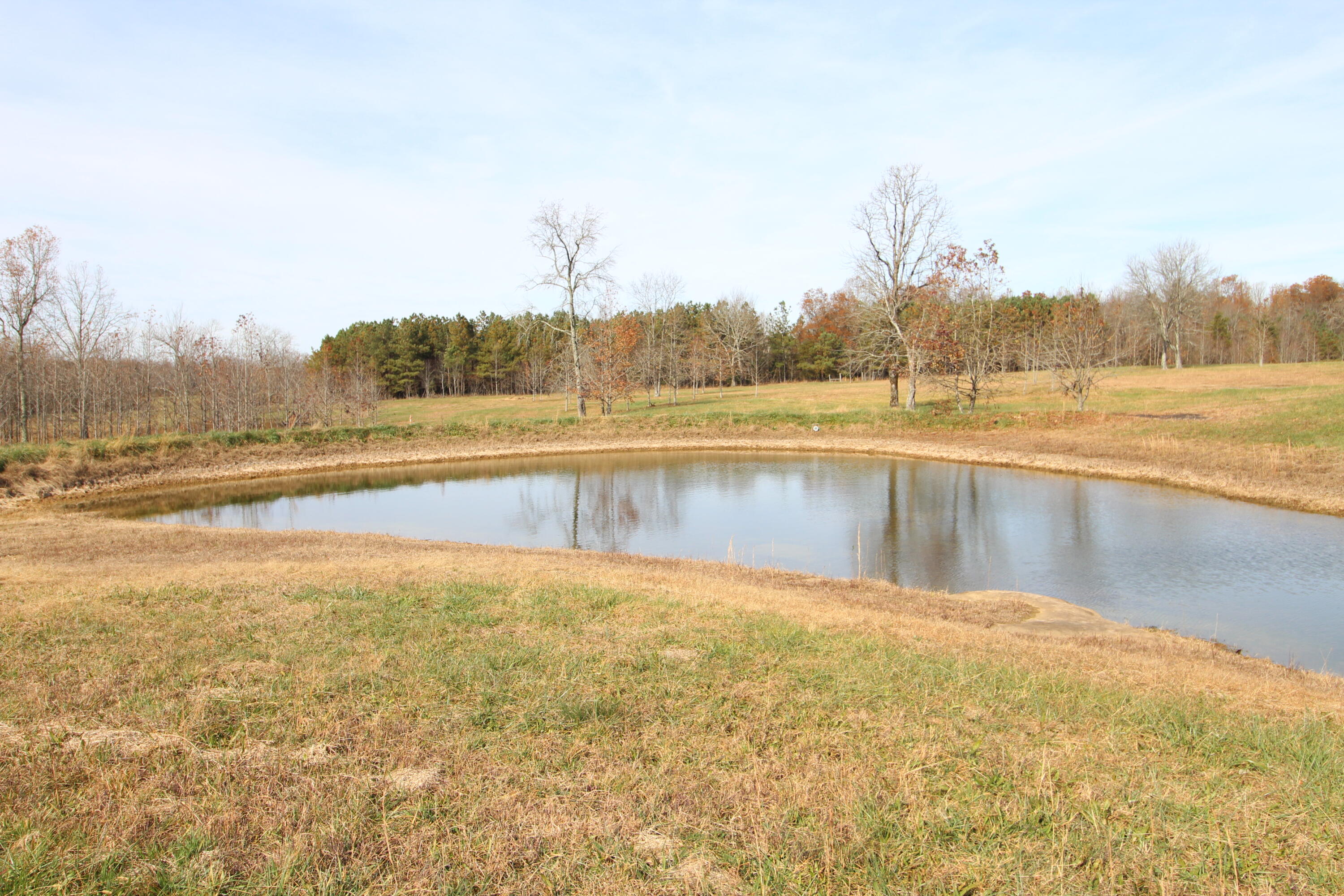 1716 Walkertown Road Dayton, TN 37321 - Photo 46 of 55 IMG_4263