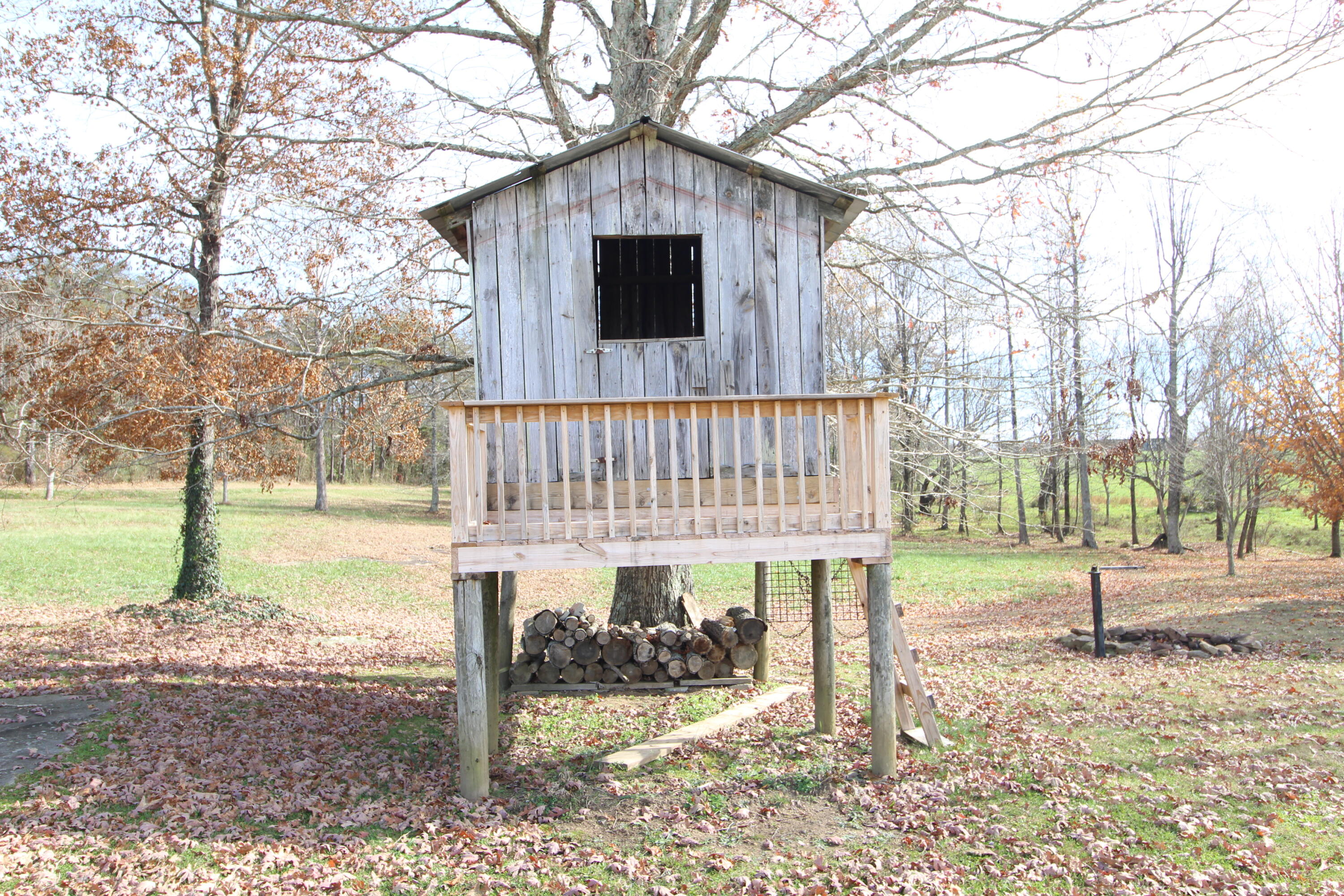 1716 Walkertown Road Dayton, TN 37321 - Photo 52 of 55 IMG_4277