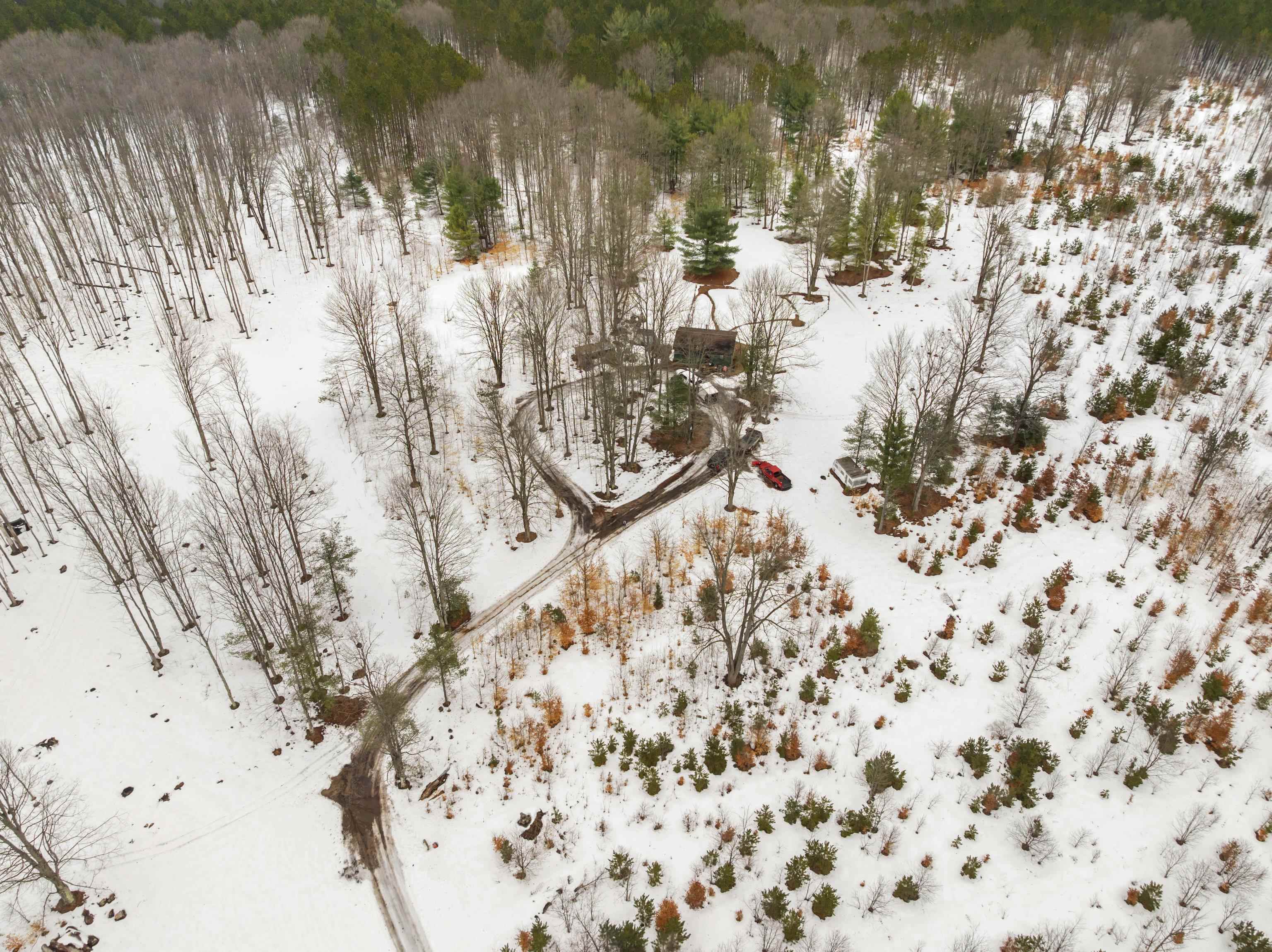 13544 Aylsworth Road Beulah, MI 49617 - Photo 16 of 29