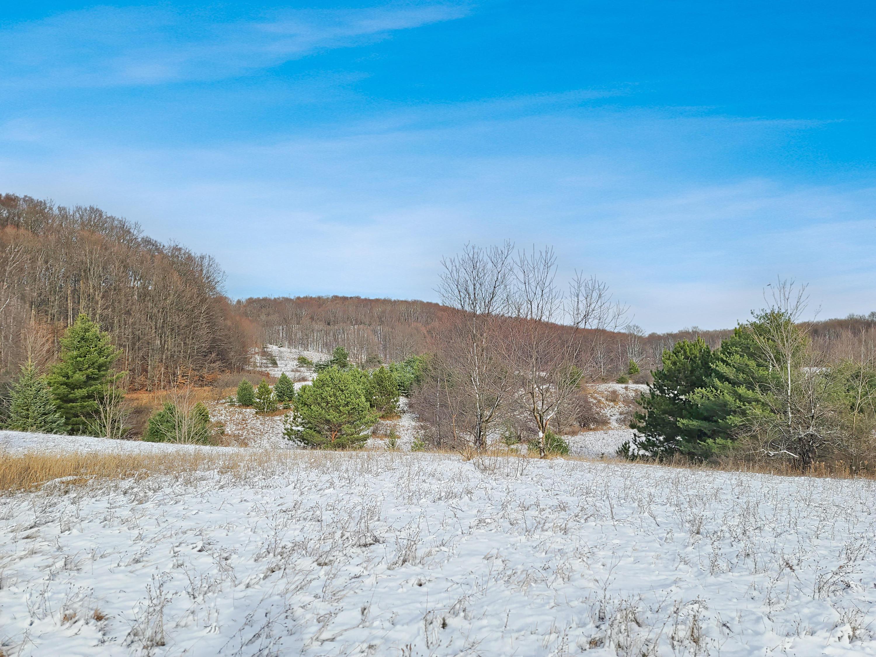 Poquette Road Gaylord, MI 49735 - Photo 5 of 14 Gallery Image 5