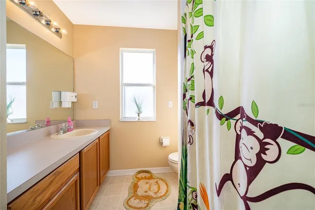 a bathroom with a sink a vanity and a curtain
