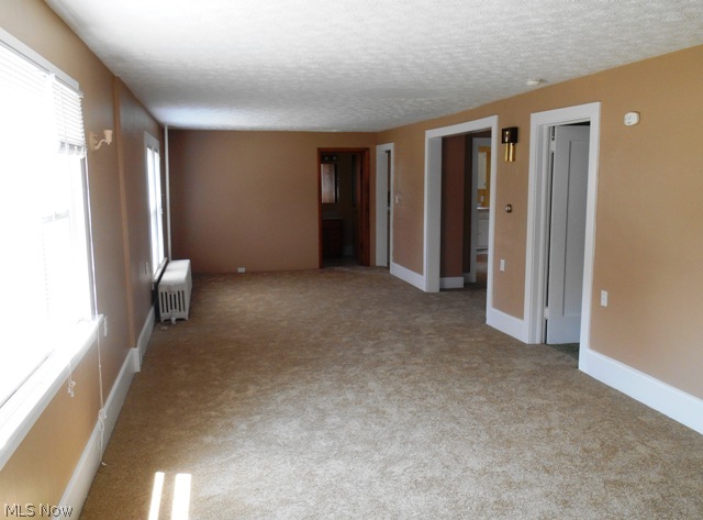 6367 North Ridge Road West Geneva, OH 44041 - Photo 6 of 25