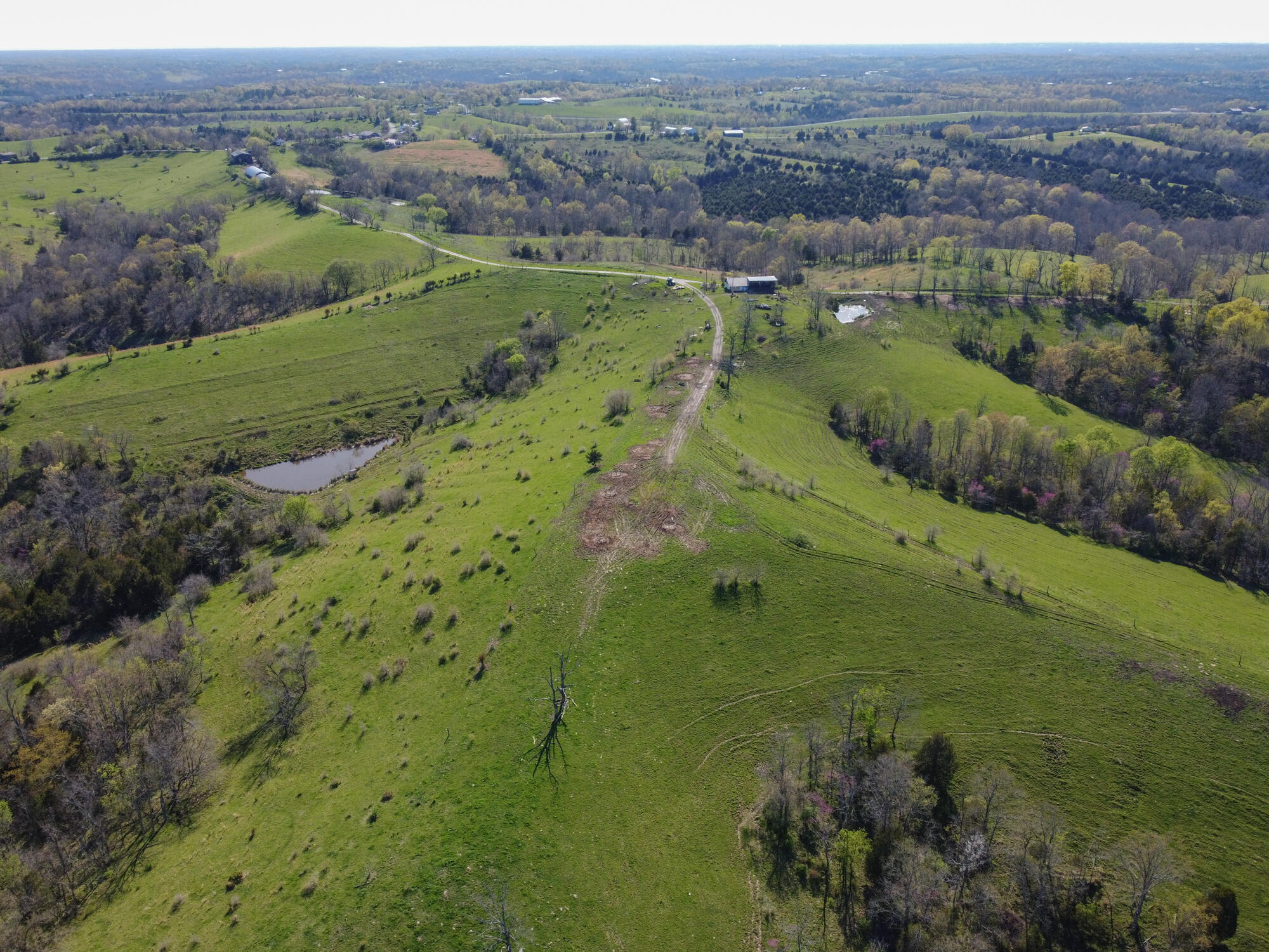 214-acres Keefer Road Corinth, KY 41010 - Photo 3 of 39 Keefer-39