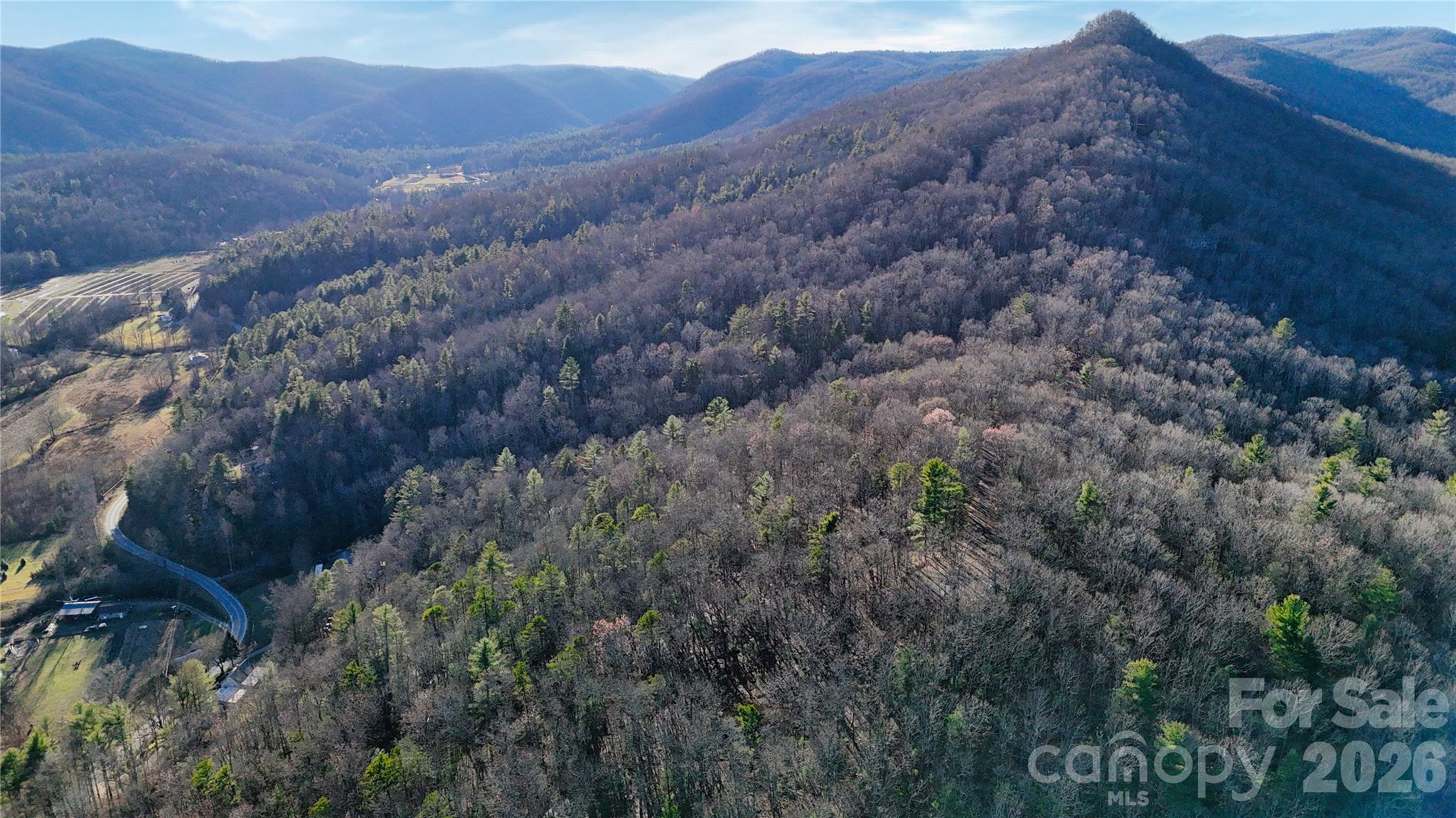 130 Brown Bear Ridge Trail, Unit 17 Zirconia, NC 28790 - Photo 12 of 15 a view of a dry forest
