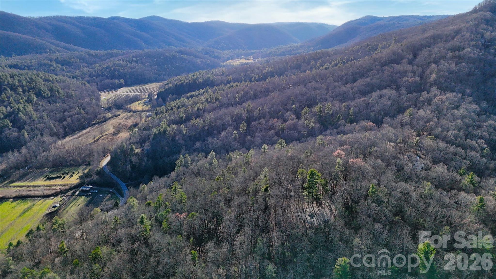 130 Brown Bear Ridge Trail, Unit 17 Zirconia, NC 28790 - Photo 13 of 15 a view of a lush green hillside and a mountain