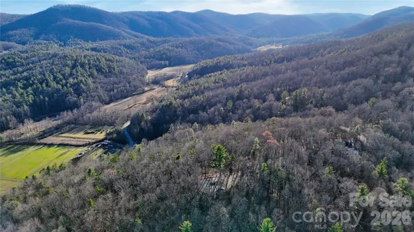 a view of a forest with mountains in the background