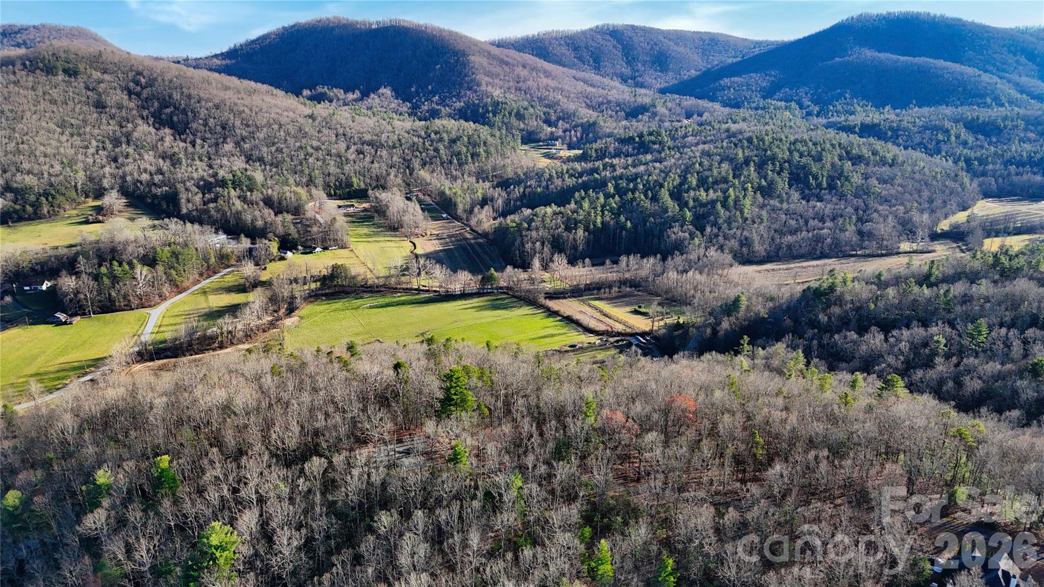 130 Brown Bear Ridge Trail, Unit 17 Zirconia, NC 28790 - Photo 6 of 15 a view of a house with a mountain and trees in the background