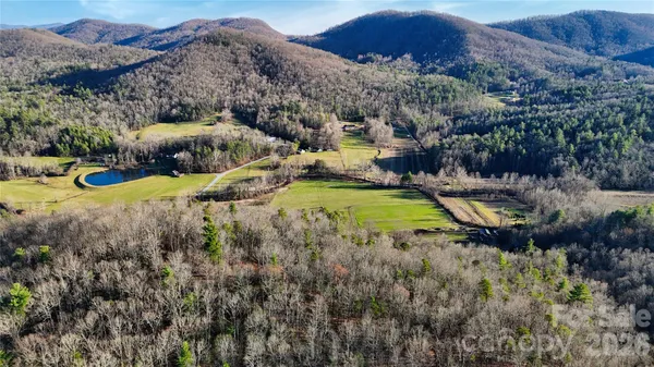 a view of a lush green hillside and a houses