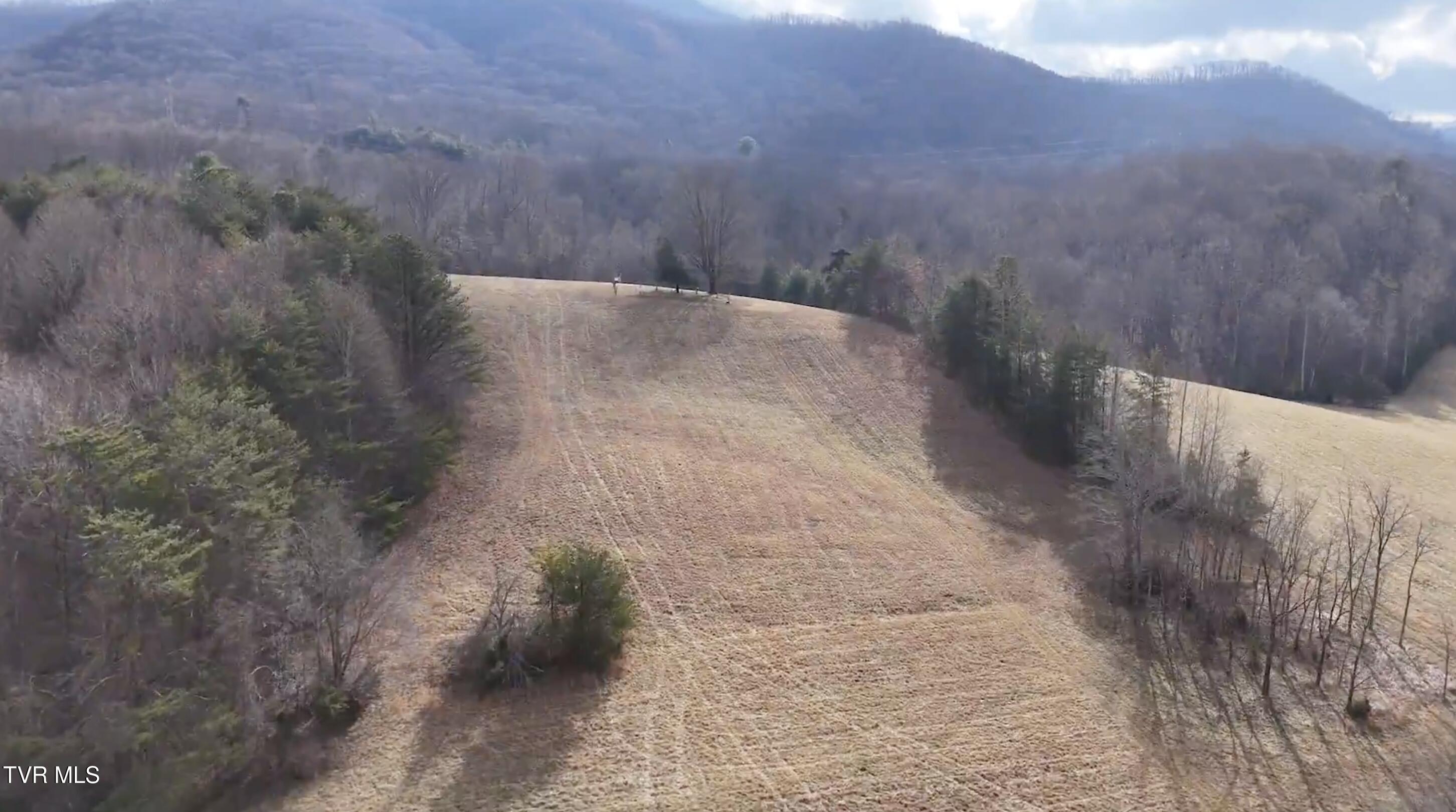 0 Sinking Creek Road Johnson City, TN 37604 - Photo 11 of 52 2517 Sinking Creek Rd.58