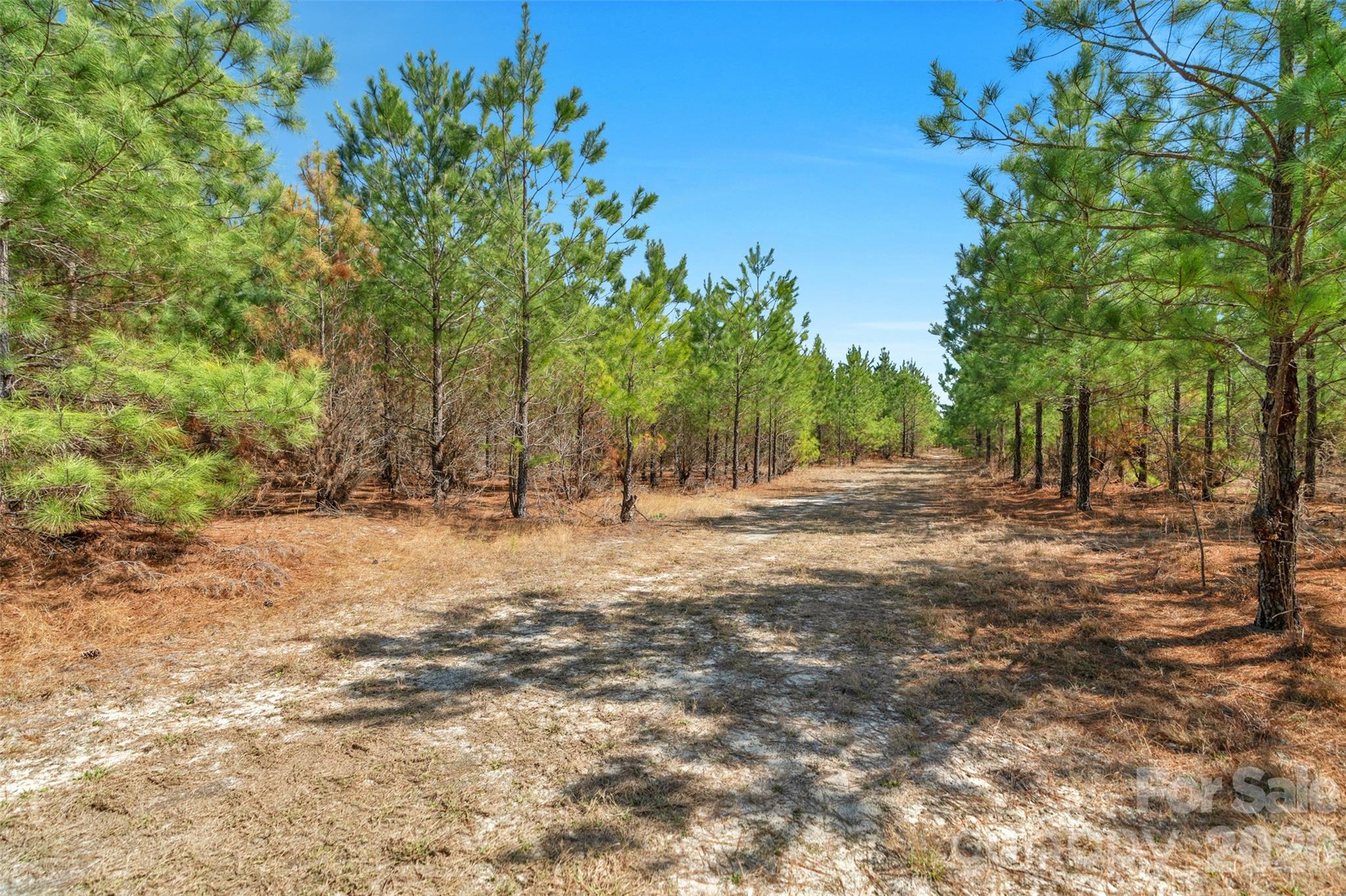 931 Charlie Johnson Road, Unit 2 Kershaw, SC 29067 - Photo 17 of 35