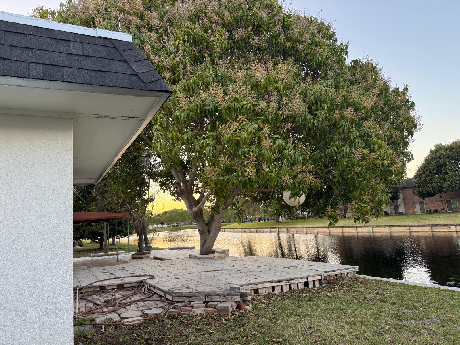 7007 Northwest 64th Street Tamarac, FL 33321 - Photo 39 of 46 a view of a backyard with large trees