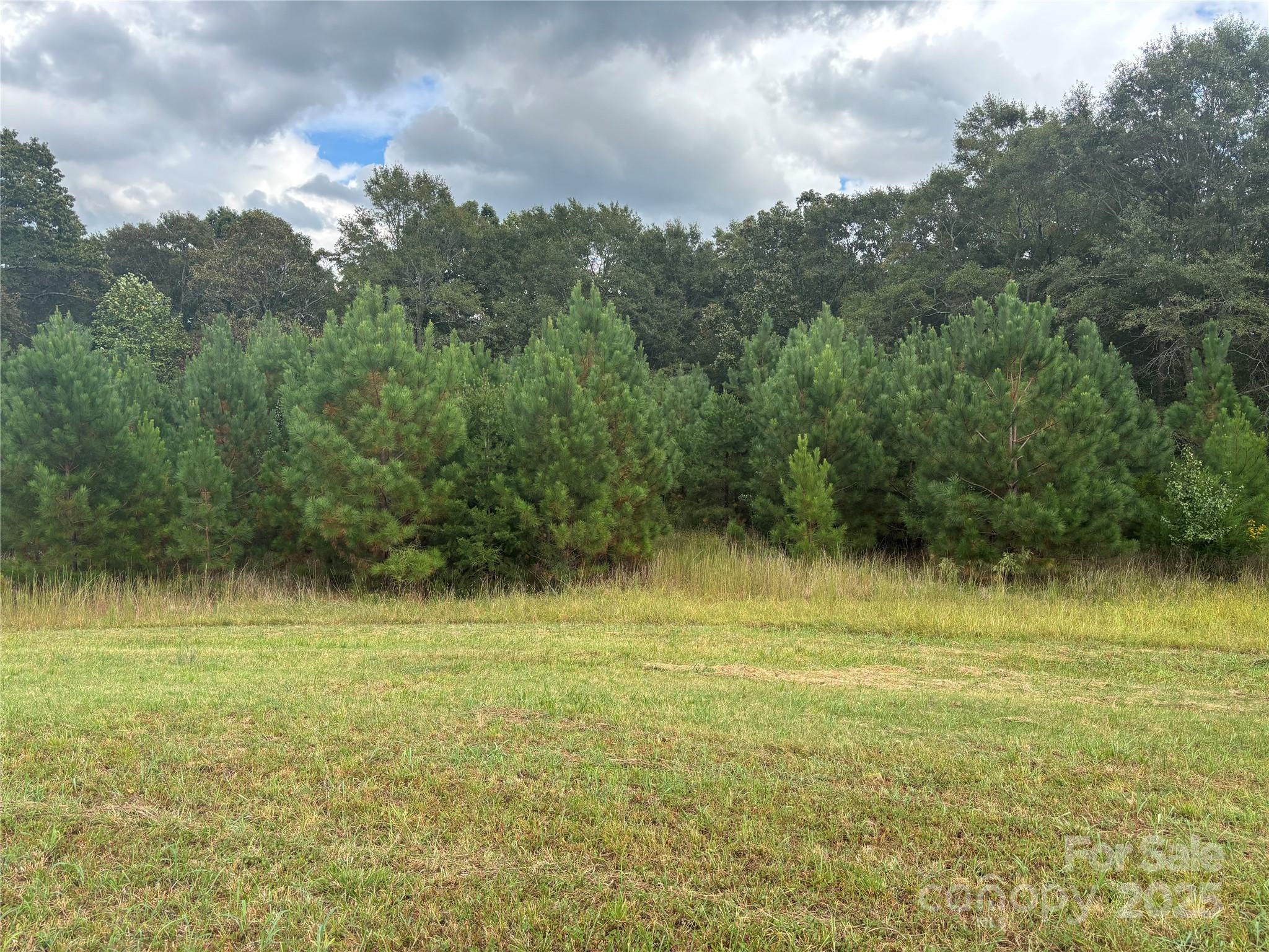 0 Barbee Road Shelby, NC 28150 - Photo 4 of 7
