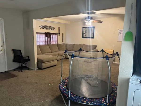 a living room with furniture and a potted plant