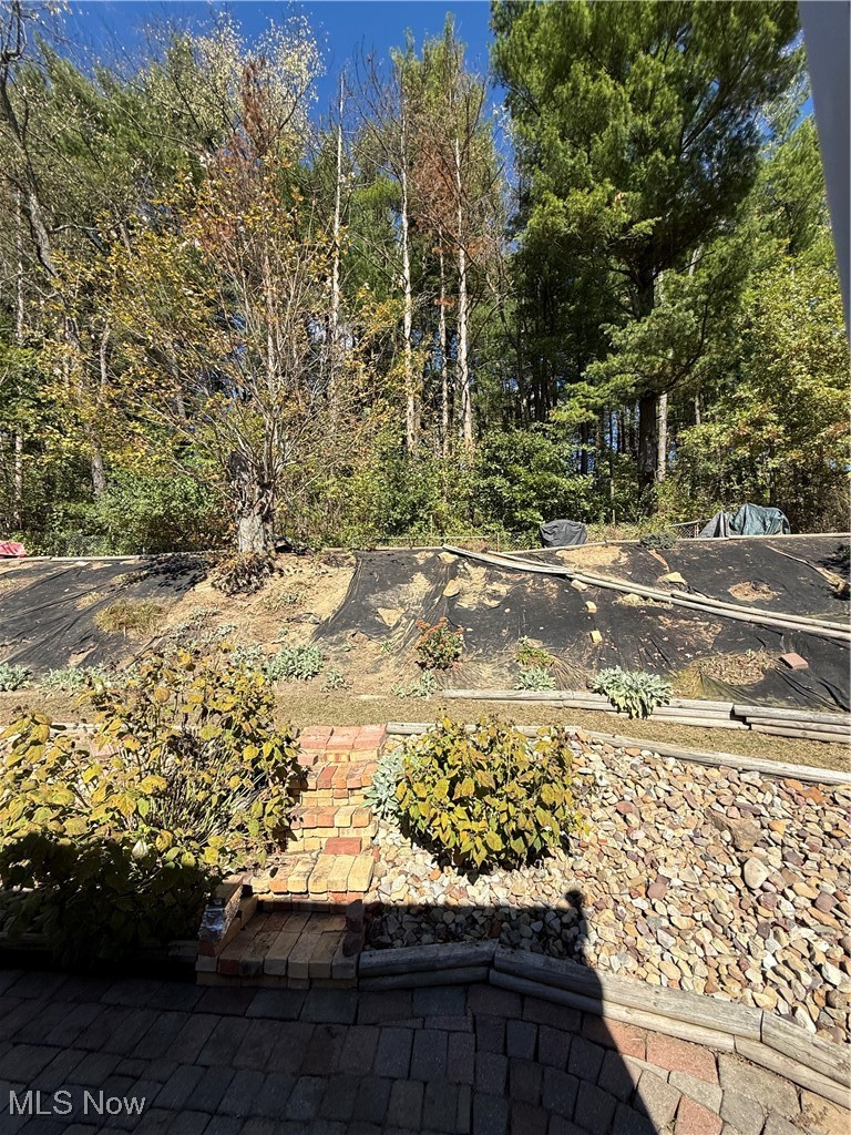 978 Center Road East Liverpool, OH 43920 - Photo 12 of 14 View of yard