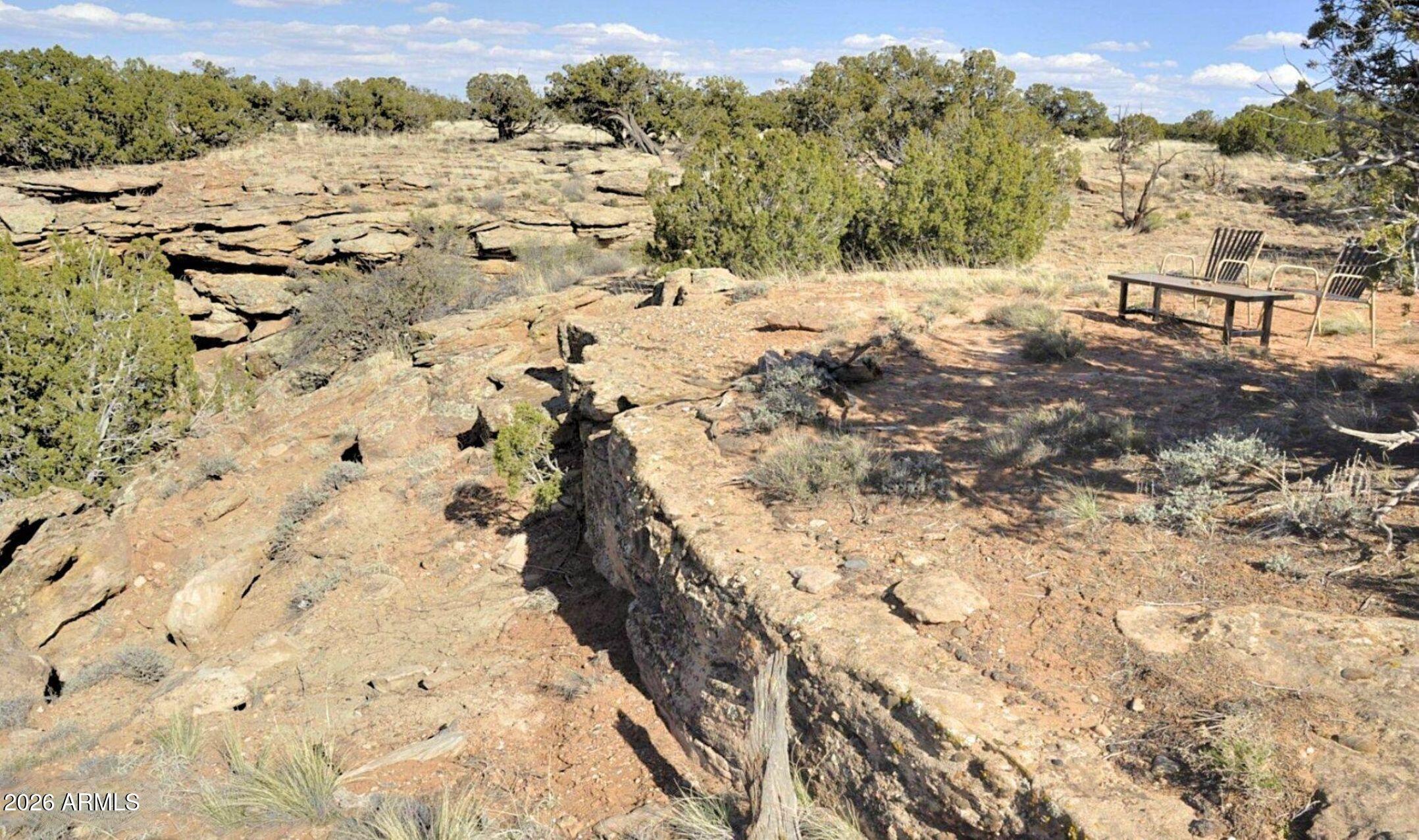 12 County Road Snowflake, AZ 85937 - Photo 59 of 85 a view of a dry yard with lots of trees