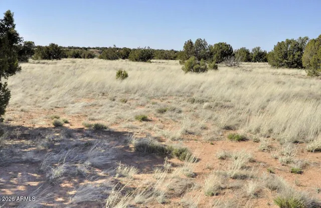 $669,875 | 12 County Road, Snowflake, AZ 85937