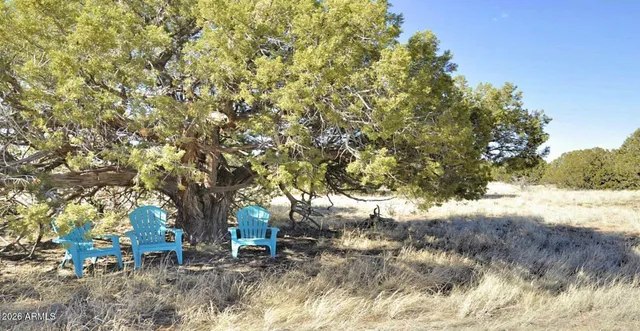 $669,875 | 12 County Road, Snowflake, AZ 85937