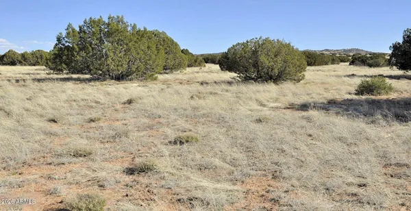 $669,875 | 12 County Road, Concho, AZ 85924