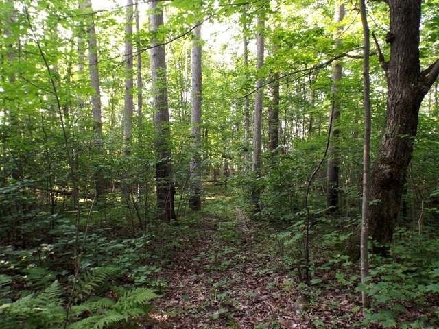 8 Old 8 Road Crandon, WI 54520 - Photo 13 of 16 Gallery Image 13