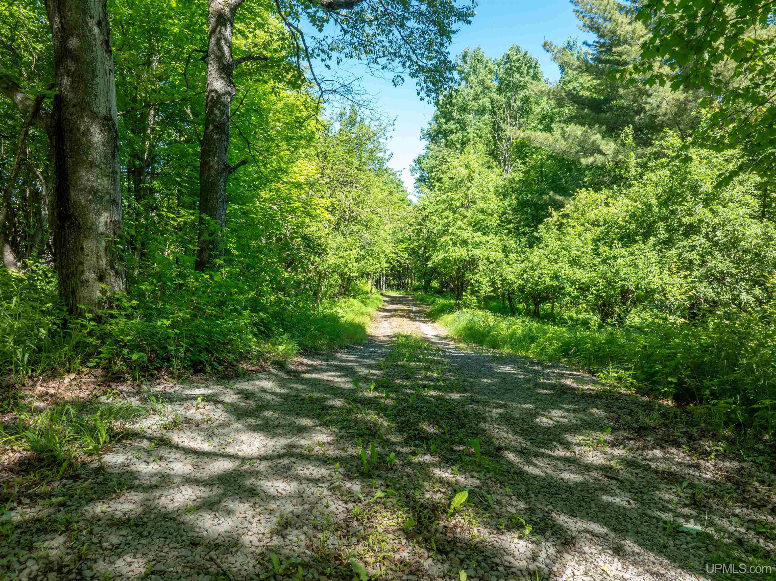 31 A Off Center Street Munising, MI 49862 - Photo 3 of 31