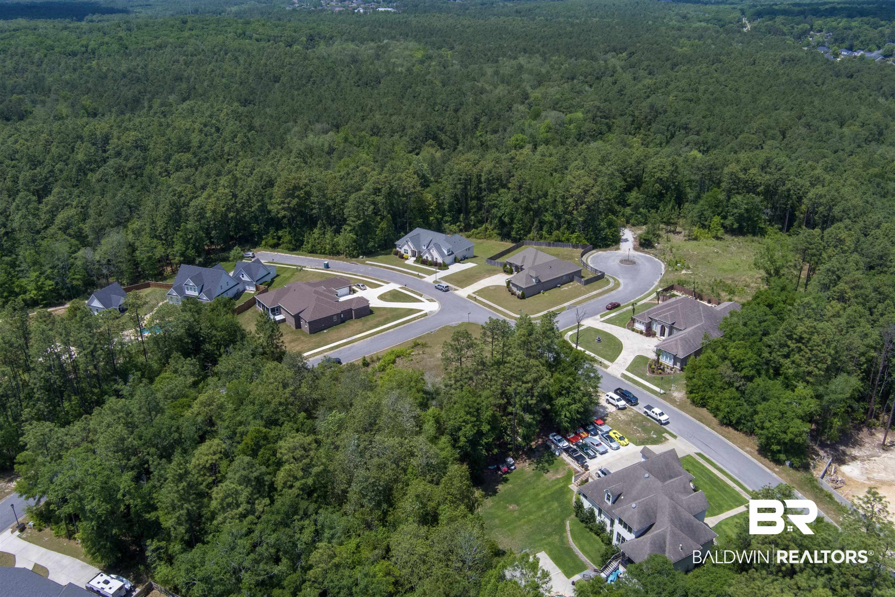 0 Stone Mill Street Mobile, AL 36619 - Photo 5 of 10