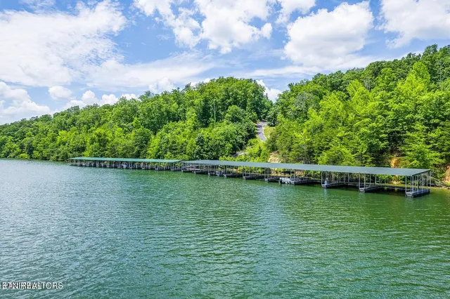 $29,000 | 439 Ridgeway Pass Spring, Spring City, TN 37381