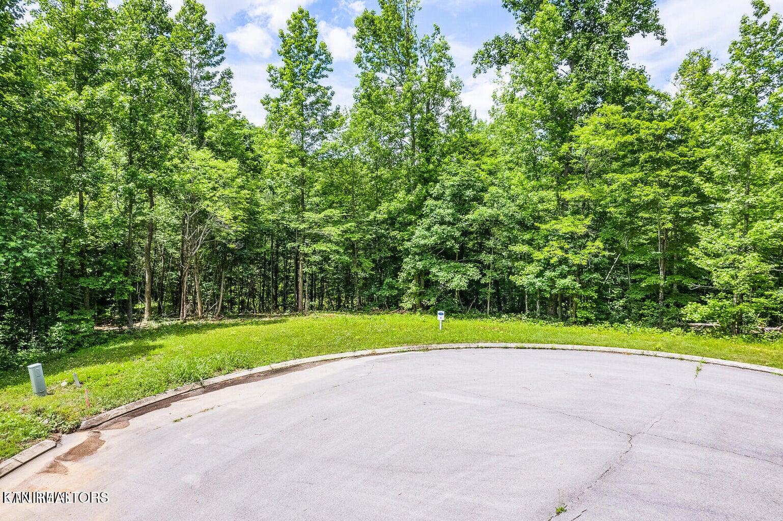 439 Ridgeway Pass Spring Spring City, TN 37381 - Photo 12 of 16 Lot 4 Rivermyst Photo 4
