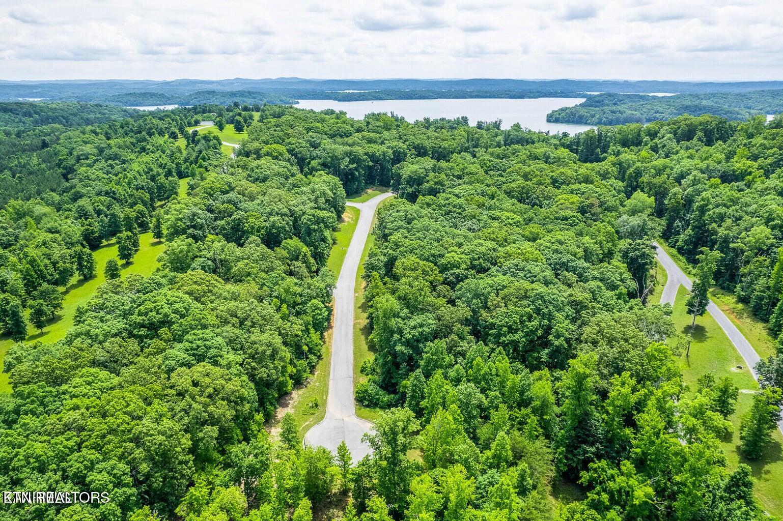 439 Ridgeway Pass Spring Spring City, TN 37381 - Photo 3 of 16 Lot 4 Rivermyst Photo 3