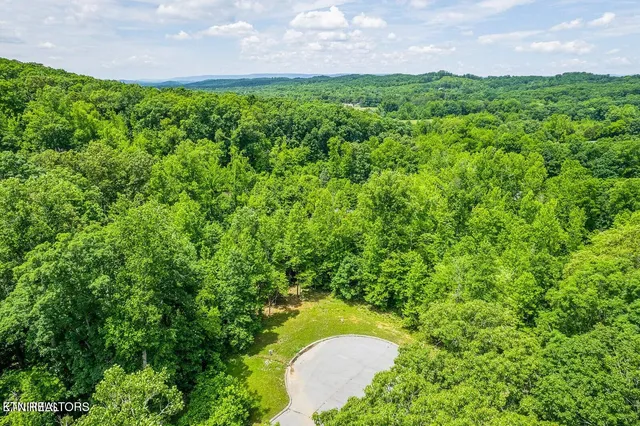 $29,000 | 439 Ridgeway Pass Spring, Spring City, TN 37381