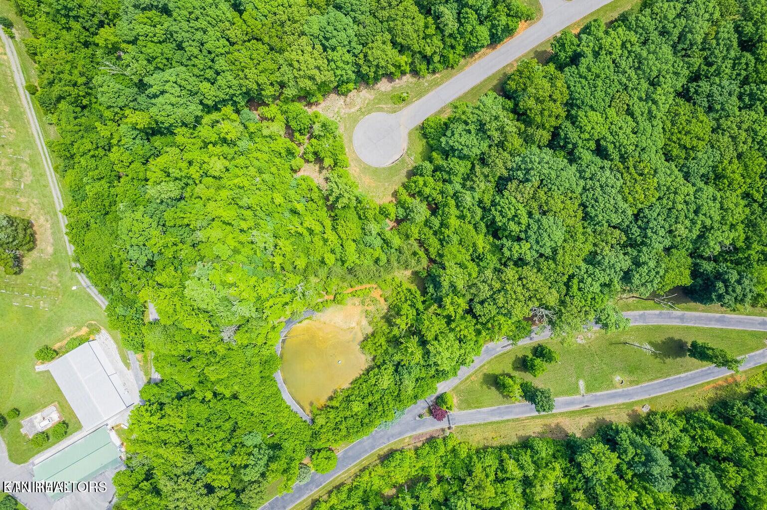 439 Ridgeway Pass Spring Spring City, TN 37381 - Photo 5 of 16 Lot 4 Rivermyst Photo 2