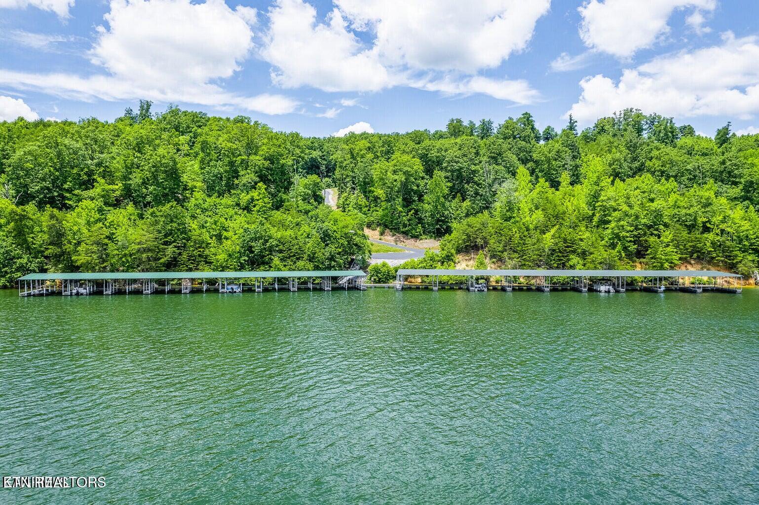 439 Ridgeway Pass Spring Spring City, TN 37381 - Photo 6 of 16 Lot 4 Rivermyst Photo 10