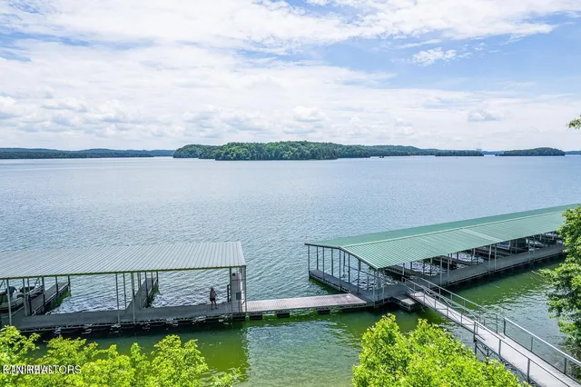 $29,000 | 439 Ridgeway Pass Spring, Spring City, TN 37381