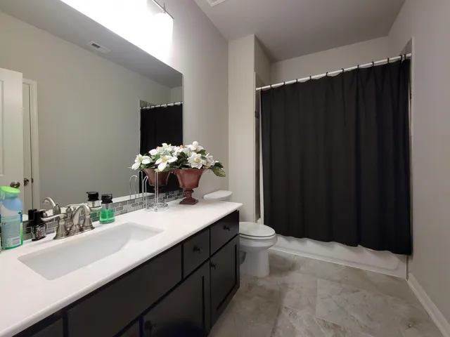 a bathroom with a sink vanity and toilet