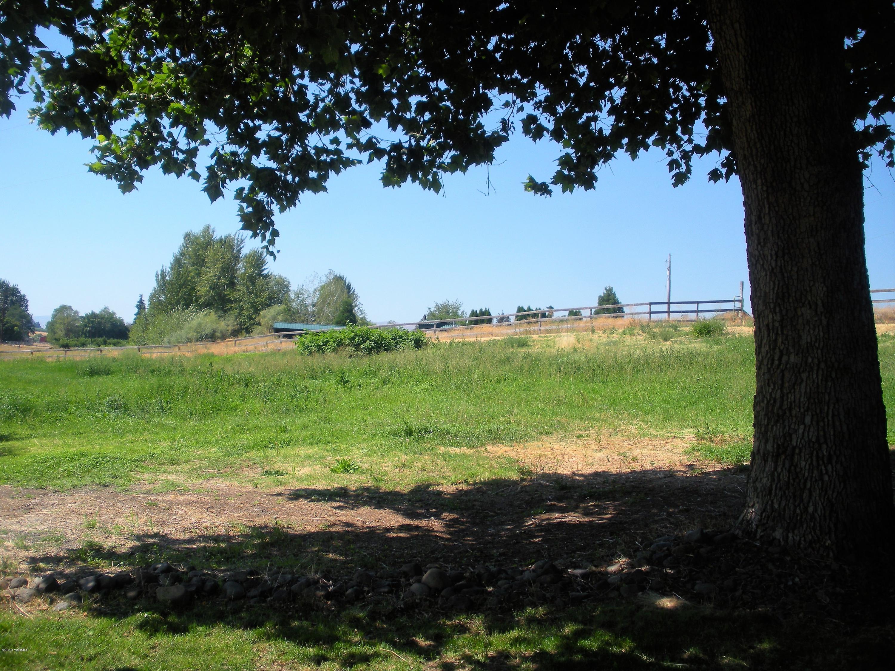 1151 Cook Road Yakima, WA 98908 - Photo 22 of 26 a view of a lake with lawn chairs and large trees