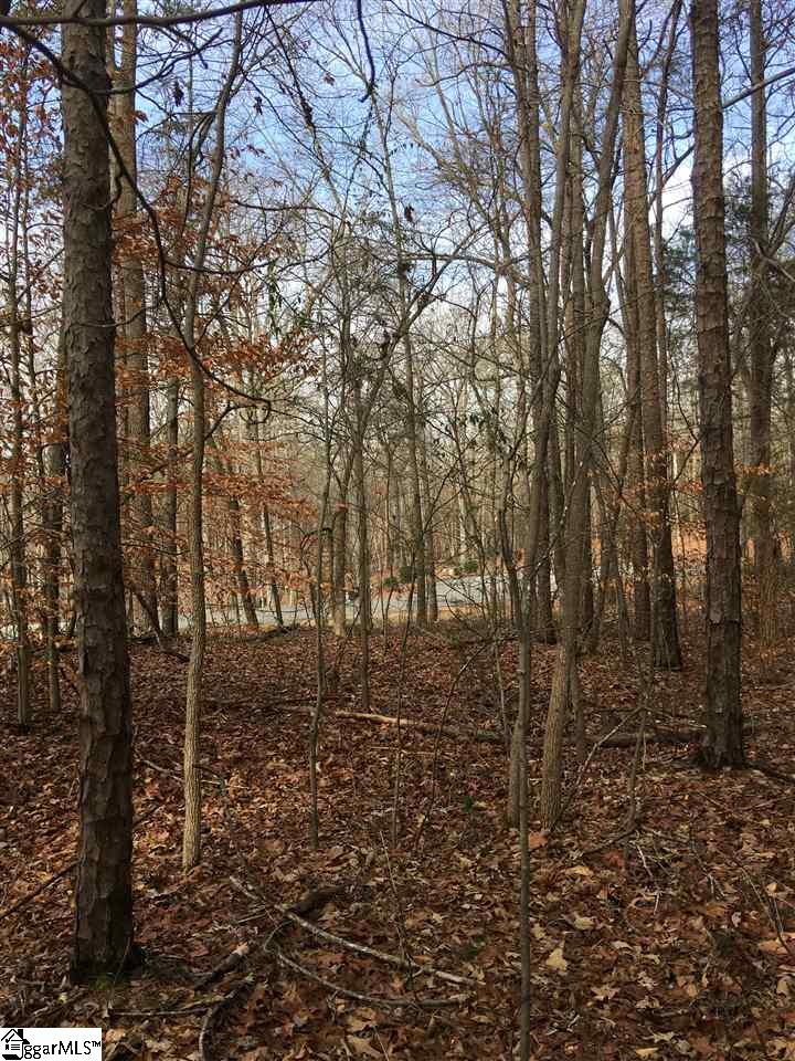 0 Pintail Road, Unit LOT 23 Anderson, SC 29626 - Photo 3 of 5 Gallery Image 3
