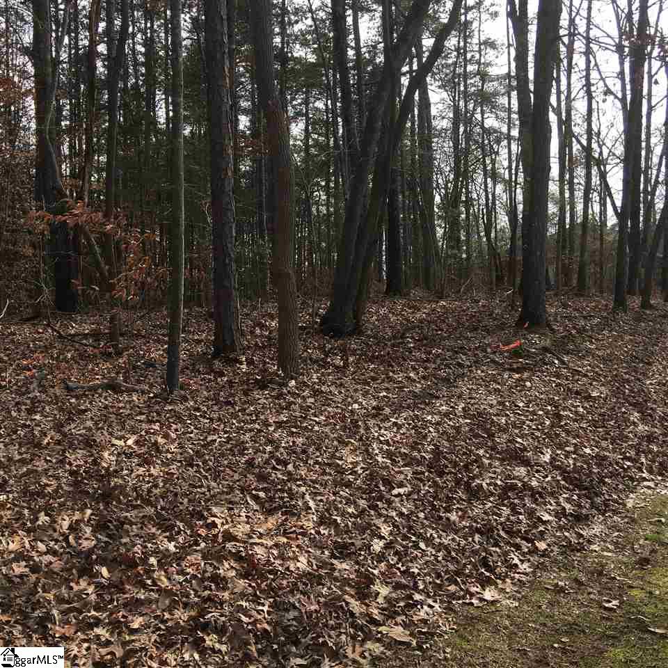 0 Pintail Road, Unit LOT 23 Anderson, SC 29626 - Photo 4 of 5 Gallery Image 4
