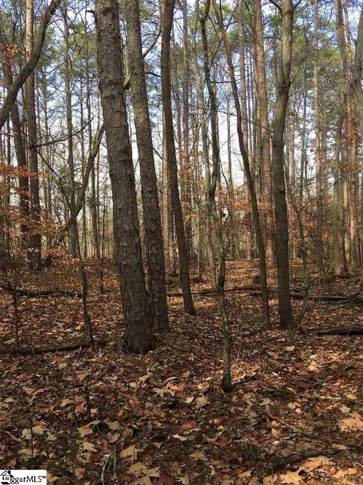 0 Pintail Road, Unit LOT 23 Anderson, SC 29626 - Photo 5 of 5 Gallery Image 5