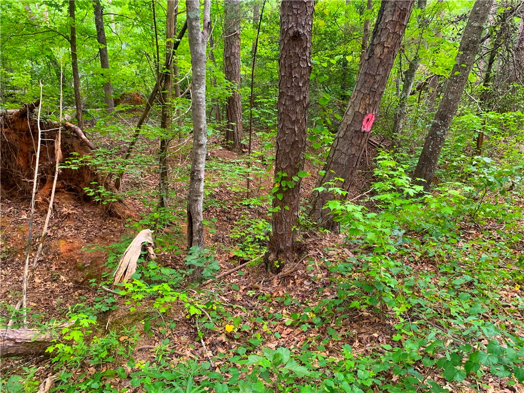 341 East Church Road Easley, SC 29642 - Photo 10 of 14