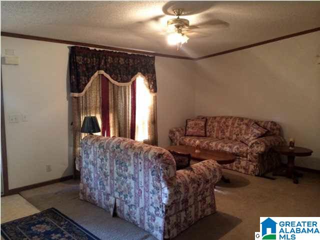 20241 Hephzibah Church Road McCalla, AL 35111 - Photo 3 of 18