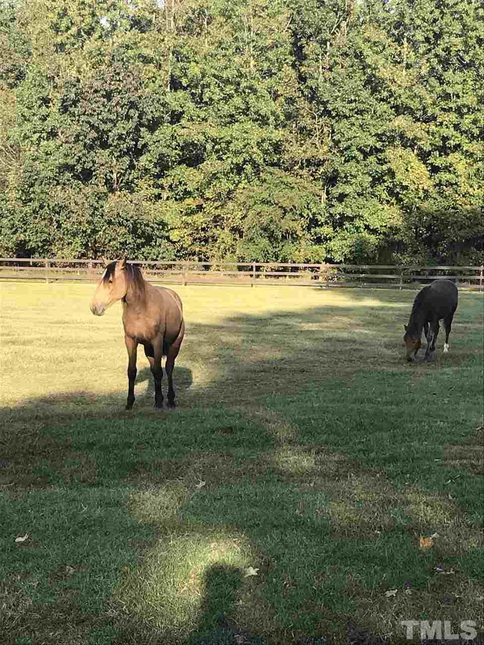 415 Bill Poole Road Rougemont, NC 27572 - Photo 27 of 30