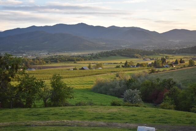 3555 Payne Road Medford, OR 97504 - Photo 41 of 46 thumbnail_DSC_0037