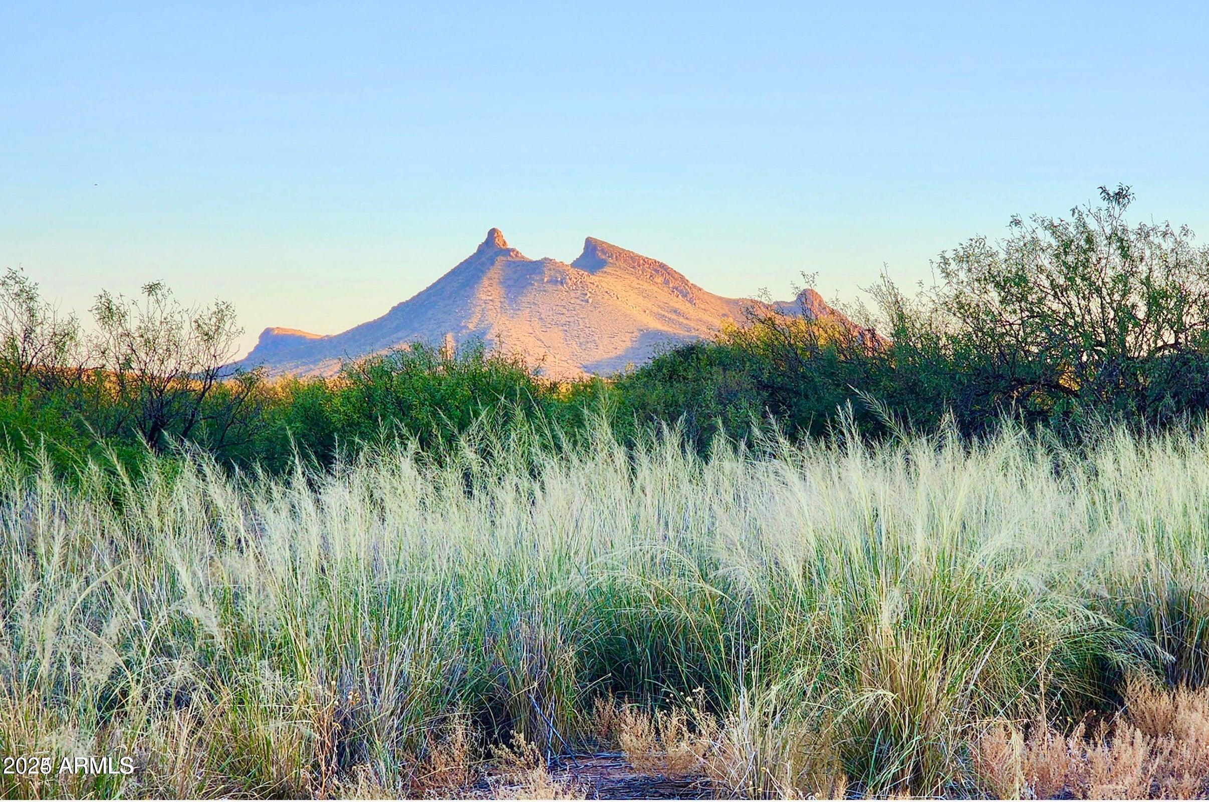 Tbd North Morning Star Trail Douglas, AZ 85607 - Photo 12 of 36 a view of a lush green space with sea