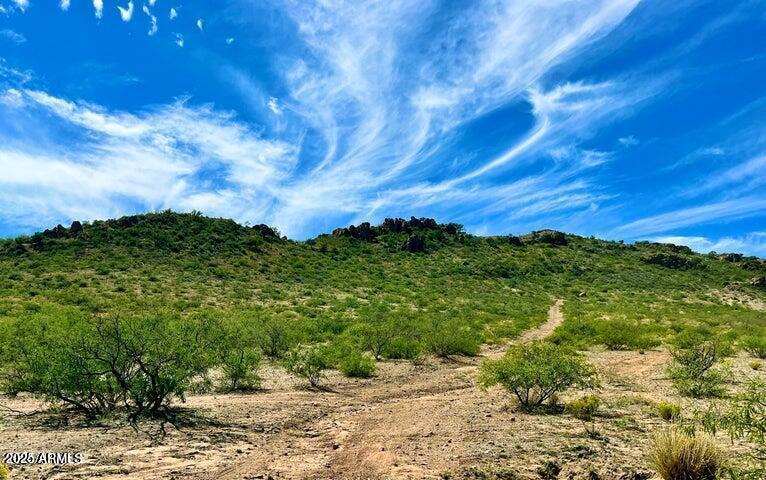 Tbd North Morning Star Trail Douglas, AZ 85607 - Photo 22 of 36 a view of a lush green space with sea