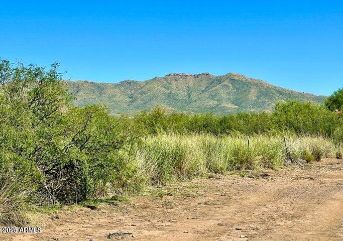 Tbd North Morning Star Trail Douglas, AZ 85607 - Photo 25 of 36 a view of a yard