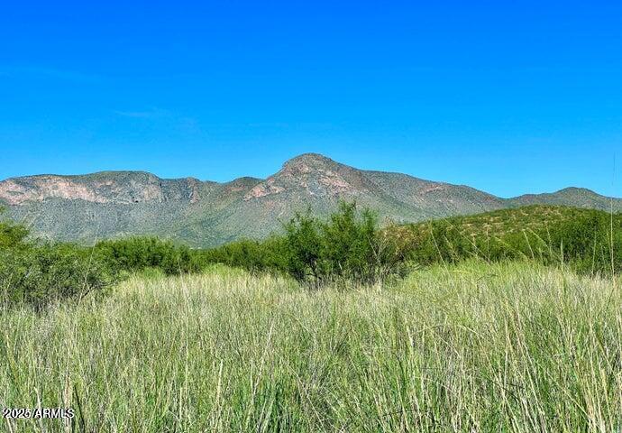 Tbd North Morning Star Trail Douglas, AZ 85607 - Photo 3 of 36 a view of a lush green hillside and a building
